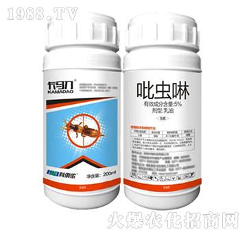 5%���x��-���R��-�����r