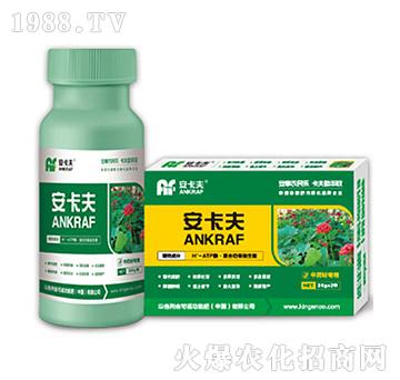 ��ˎ�Č����~���-������