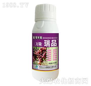 ���ь�(zhu��n)�øߝ�s��(d��ng)�ﵰ��������Һ-��Ʒ-���S�f(w��n)¡