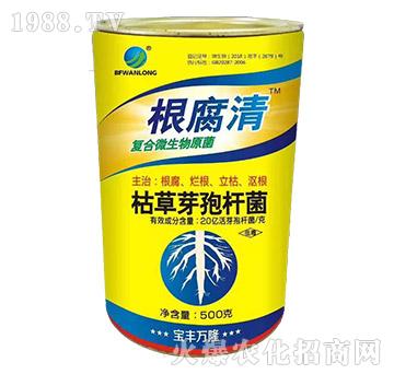 �ݲ�ѿ�ߗU��-������-���S�f(w��n)¡