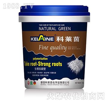 ����������-���R��-�W���r�I(y��)