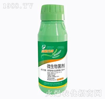 ΢�������-�����ɰ�-��̩���