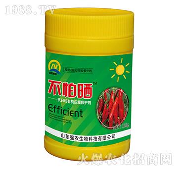 �������ЙC(j��)ƤĤ���o(h��)��-����-��(qi��ng)�r(n��ng)����