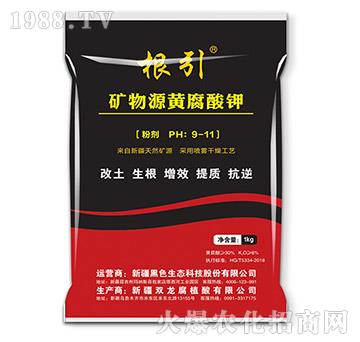 �VԴ�S����⛡�����