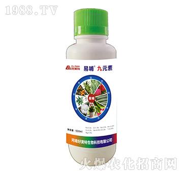 ��Ԫ��-�ײ�-������