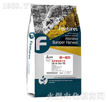 ���������̖���16-6-36+TE-����