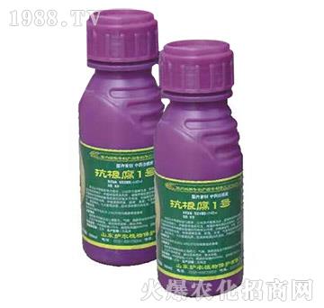 ������1̖-�o�r(n��ng)