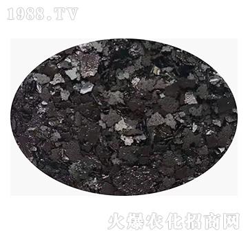 ��ɫƬ��徫-�۰�