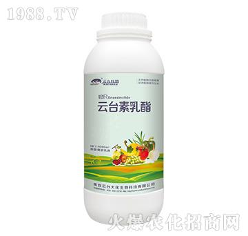 云臺素乳酯螯合乳液-云臺大化