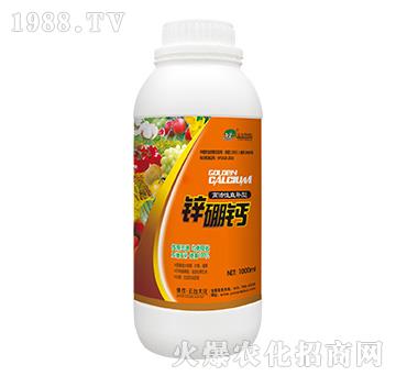 �߻���ֱ�a(b��)���\���}-���_��