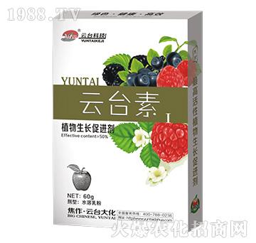 ���_(t��i)��I-���_(t��i)��