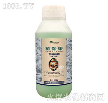 1000gֲ����-���_��