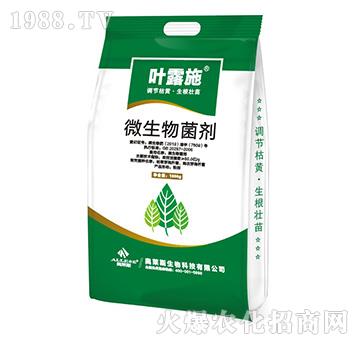 ΢�������-�~¶ʩ-�W�R˹