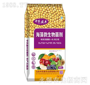 ����΢�������-���r(n��ng)ʢ�S