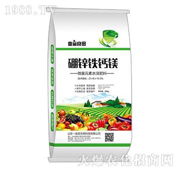 ���\�F�}�V-Ҽ������