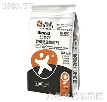 ̼ø΢�������-������-ϲ�m��