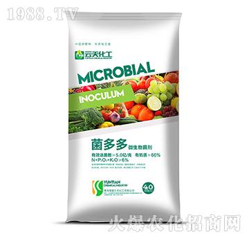 60%΢�������-�����-���컯��