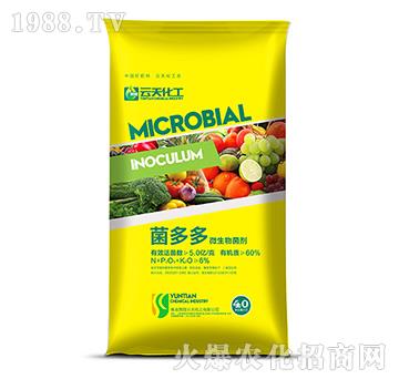 ΢�������-�����-���컯��