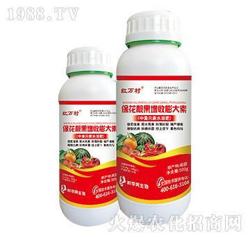 �����n�����������-���˹����r(n��ng)��