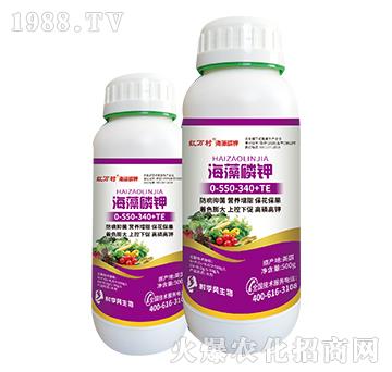 �������-�������-���˹����r(n��ng)��