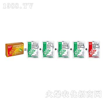 ���ך��x(ch��ng)����-�x(ch��ng)�݃�-���˹����r(n��ng)��