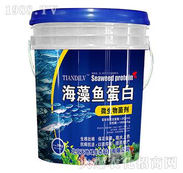 ΢�������-�����~����-��ؾG