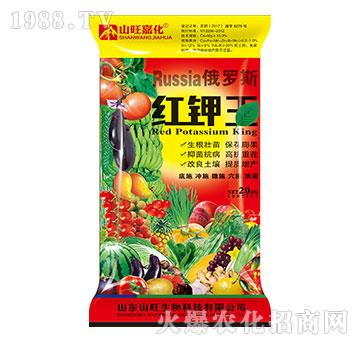 �t���-ɽ������