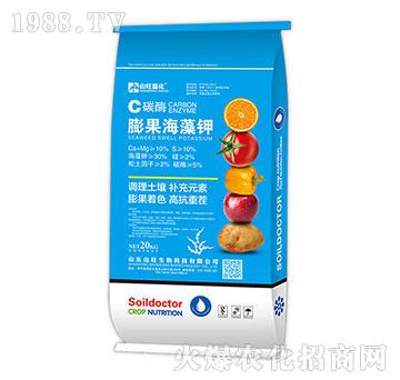 ̼ø��������-ɽ������