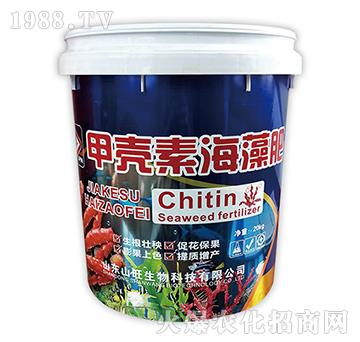 �ך��غ����-ɽ������