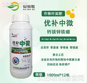 ��(y��u)�a��΢-ힲ�����