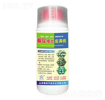 �޻��������M��-�f(w��n)Ȫ�r(n��ng)��