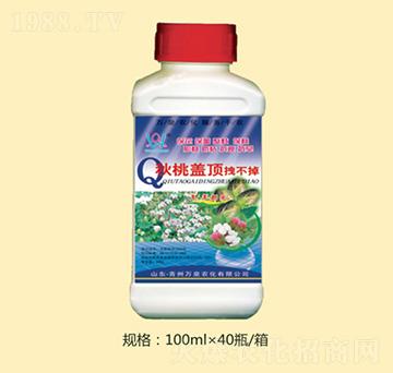 �����w�ק����-�fȪ�r(n��ng)��