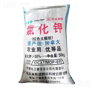 �tɫ���w���Ȼ��-��Դ�ʘI(y��)