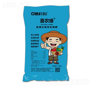 �߶������ЙC����-ϲ�r(n��ng)��-�W��ɭ