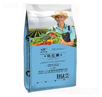 ΢�������-��|��-һ������