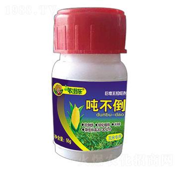 ���׌���-������-�r�̘�