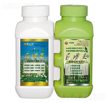 ��������������-�r�̘�