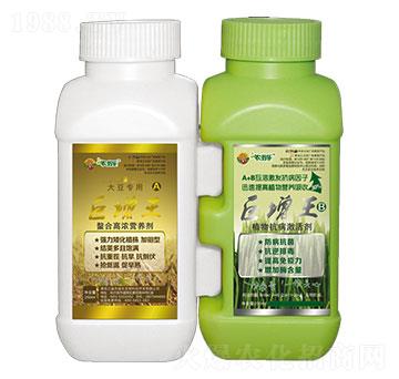 �������󶹌���-�r�̘�