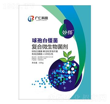 ���߰׽����������ѿ�ߗU��-���-�V������