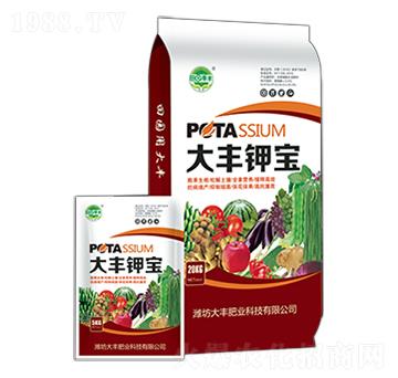 ���S⛌�-��@���S-���S�ʘI(y��)