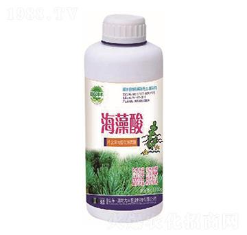 ������-��@���S-���S�ʘI(y��)