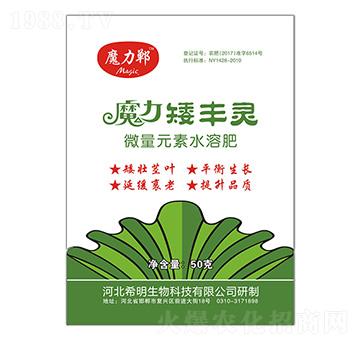 ħ�����S�`-ħ����-ϣ������