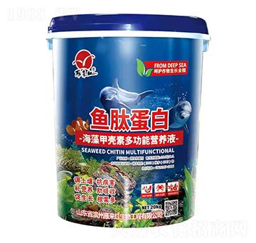 ����ך��ض๦�ܠI(y��ng)�B(y��ng)Һ-�~�ĵ���-���(l��i)�t