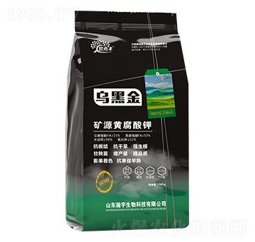 �VԴ�S�����-���ڽ�-�������