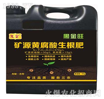 �VԴ�S����������-�͌�����