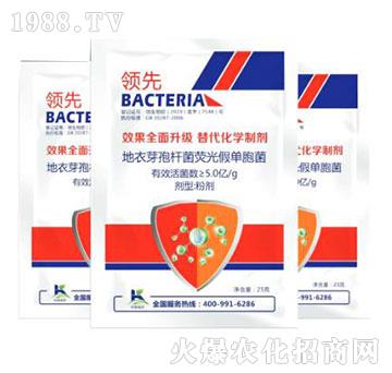 ����ѿ�ߗU���ɹ�نΰ���-����ֲ��