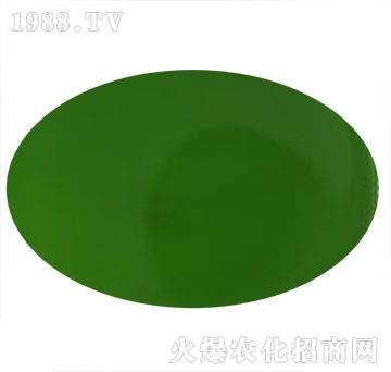 �~(y��)����Һ-��ʥ����