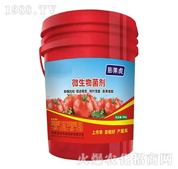 ΢�������-�����-��(f��)������