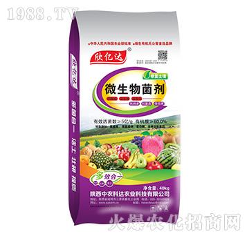 ΢�������-���|�_-���r(n��ng)���_