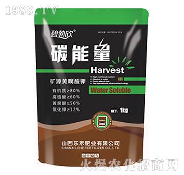 ̼�����S-����